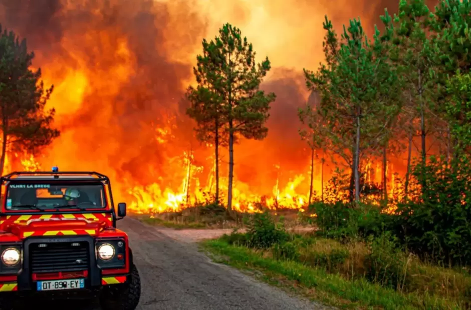 ola de calor incendios