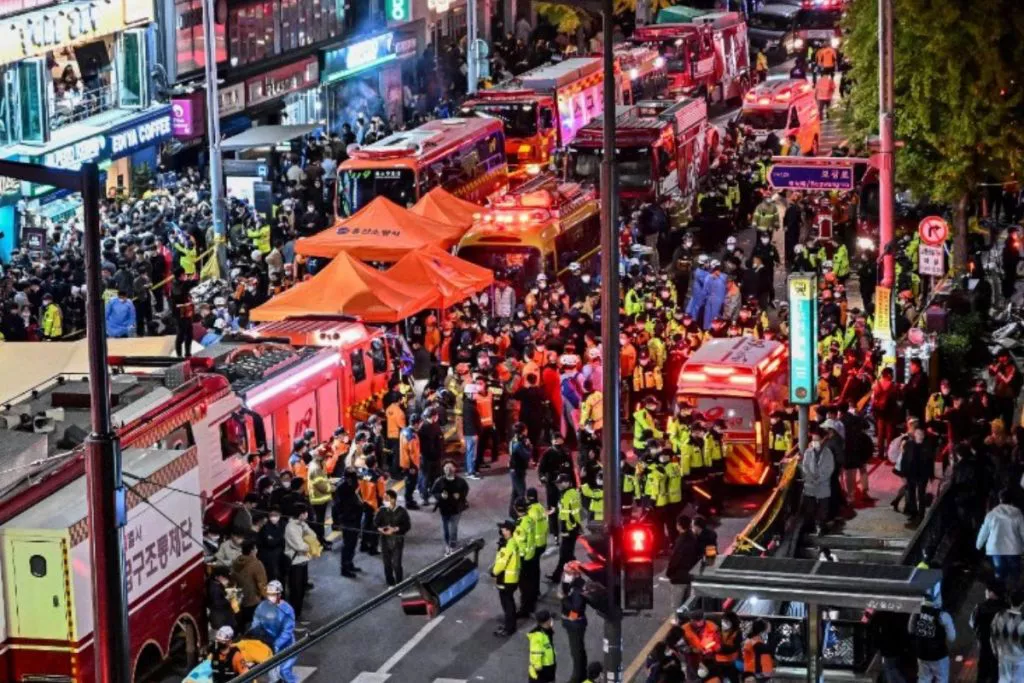 jpg_20221030_071639_0000-1024x683