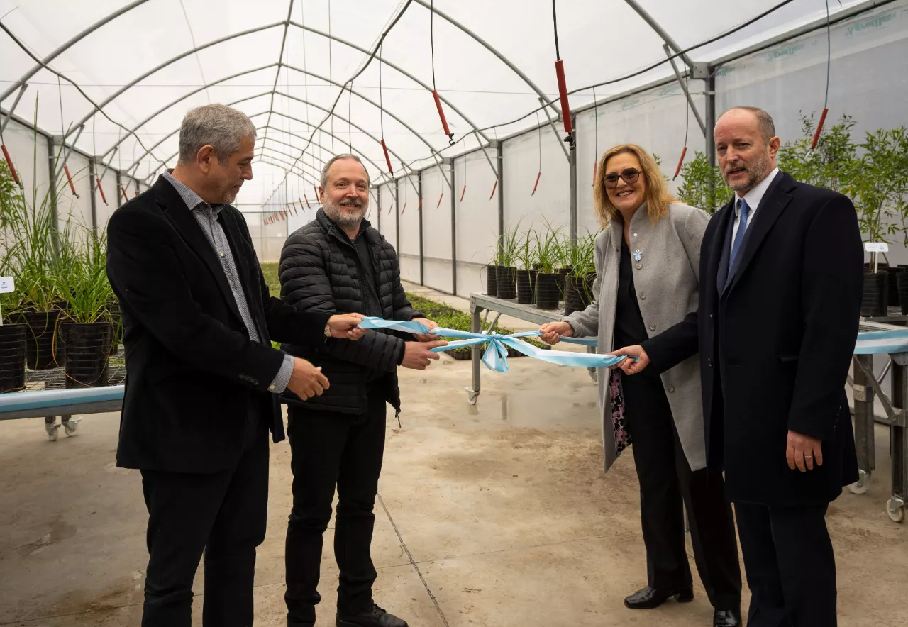 PHOTO-2022-07-06-21-36-03