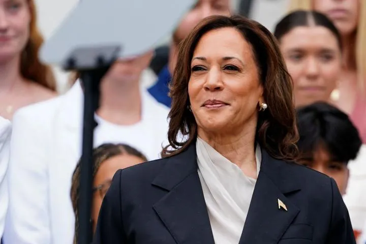 la-vicepresidenta-kamala-harris-y-candidata-del-partido-democrata-en-una-imagen-reciente