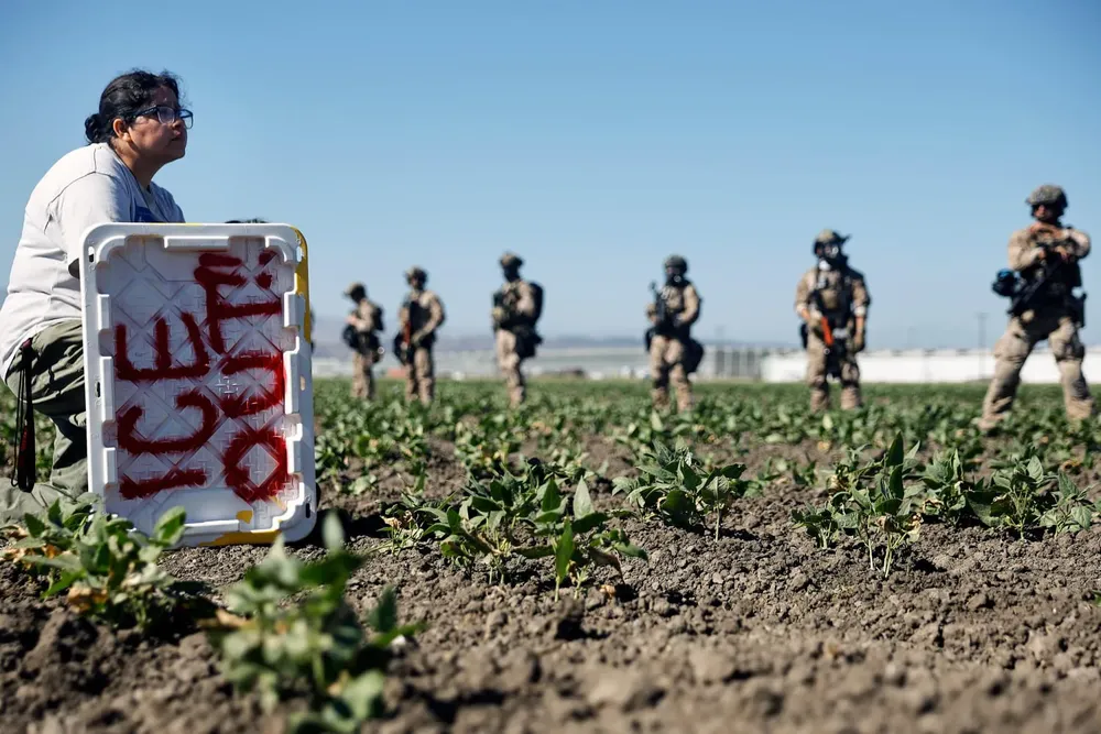 250711-camarillo-cannabis-farm-ice-raid-3-se-145p-506fd6